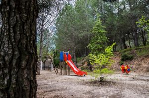 camping familiar